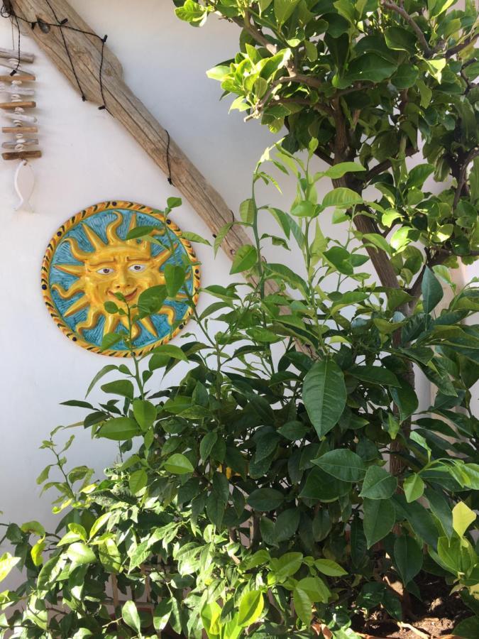 Bed and Breakfast La Terrazza Sui Tetti à Senigallia Extérieur photo
