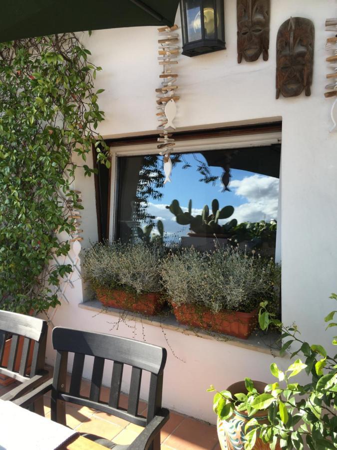 Bed and Breakfast La Terrazza Sui Tetti à Senigallia Extérieur photo